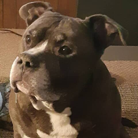 Jethro