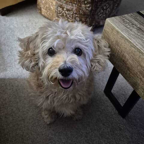 Nella Bella