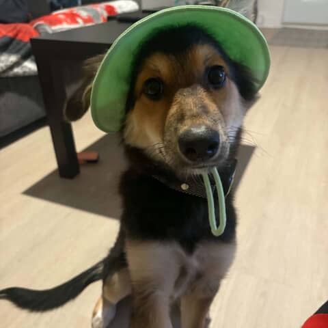 Nelly