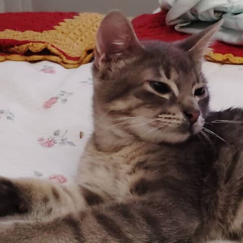 Papa lucky