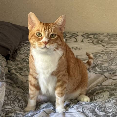 Sam