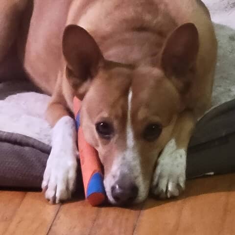 Zoey