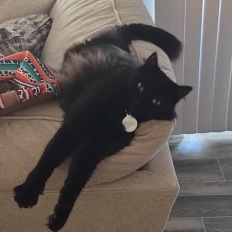 Binx