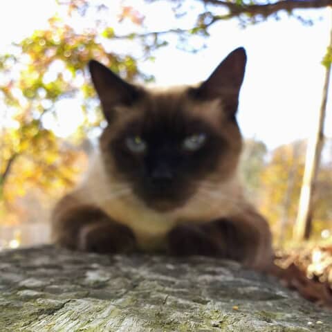 Pretty Boy Floyd