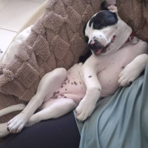 Doja