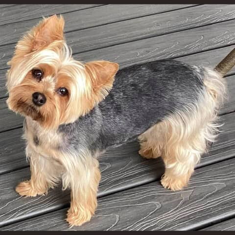 coco