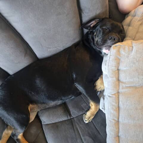 Roxie