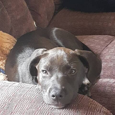 Mia