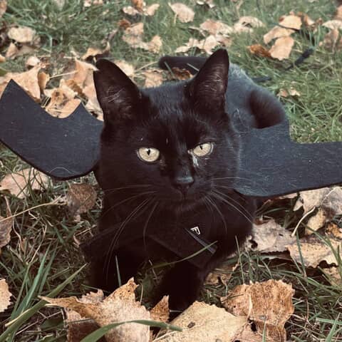 Lucifer