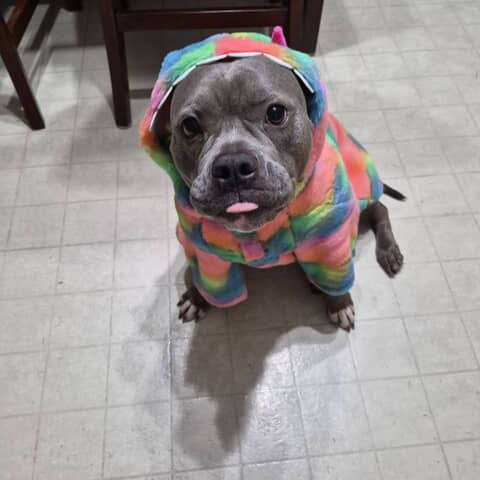 Gloria