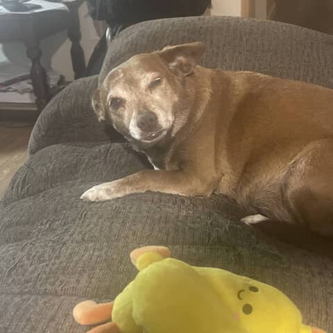 Dulce