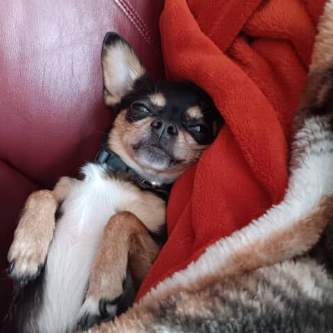 LUCY