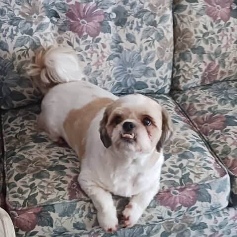 Baxter