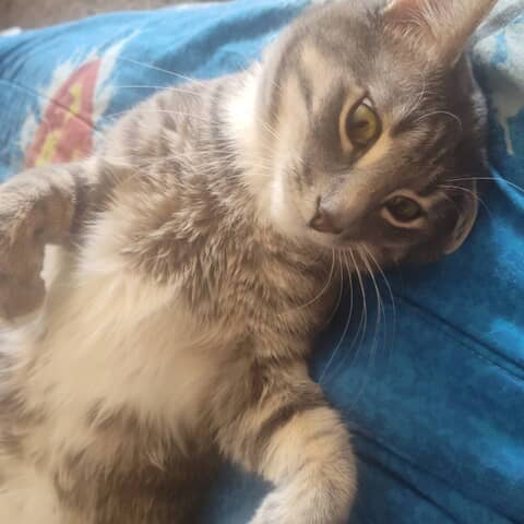Mr Bootz