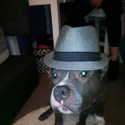 Champo