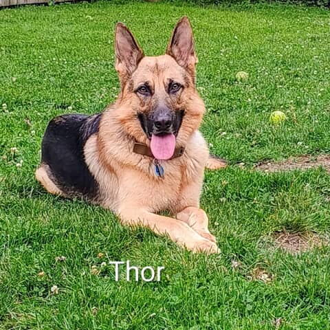 Thor