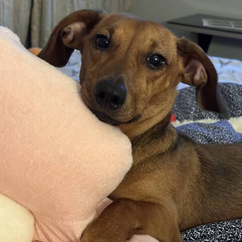 Winnie