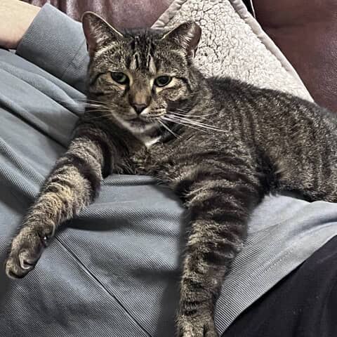 Oliver