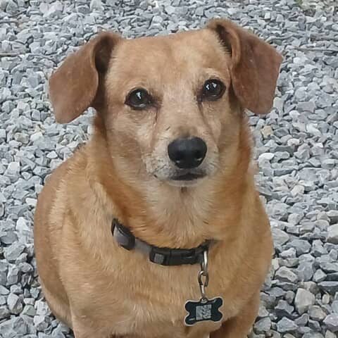 Buddy Sr