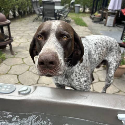 Kylo
