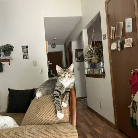Bootsie