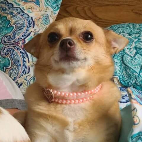 Nala