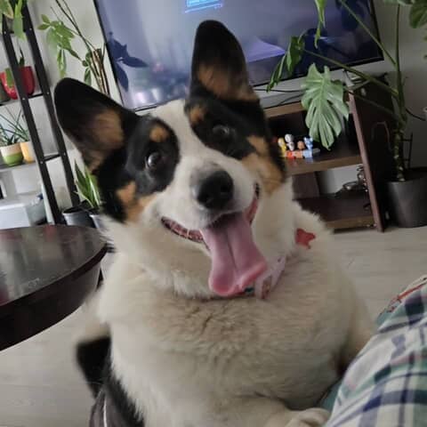 Nano