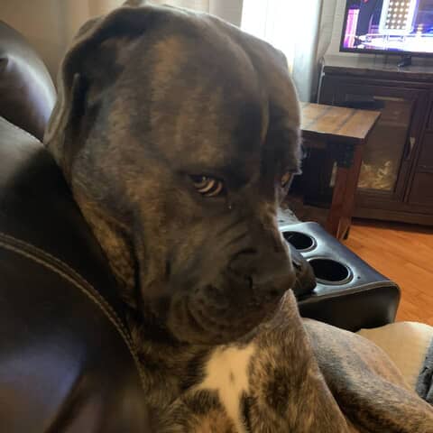 Athena