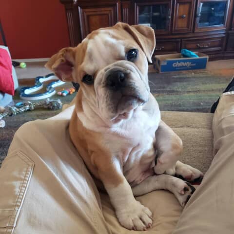 Sluggo