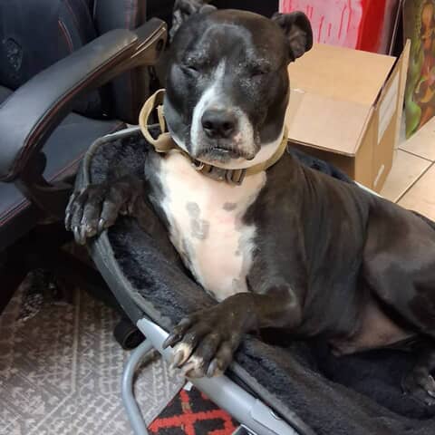 Astro