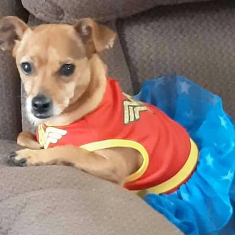 Daisy