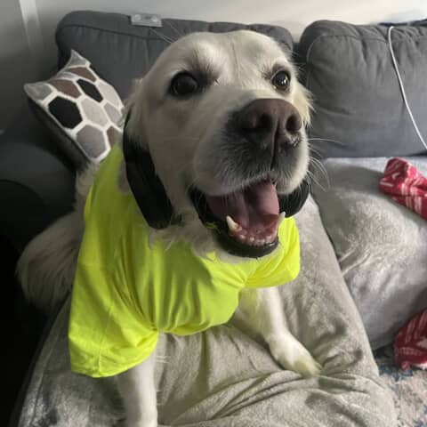 Maggie
