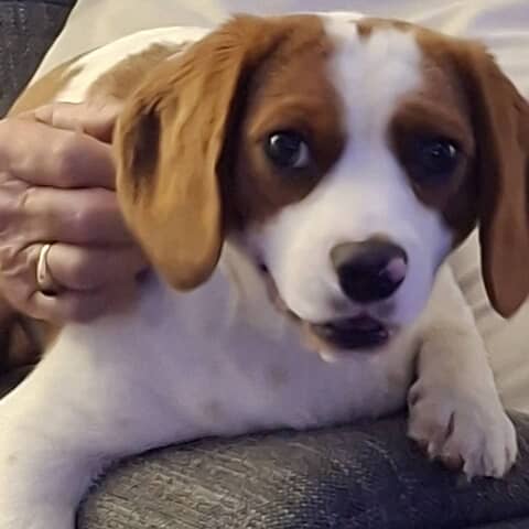 George
