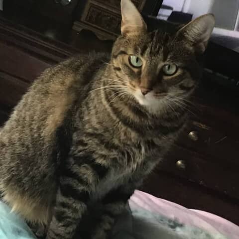 Callie Mae