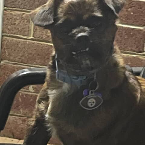 Cocoa