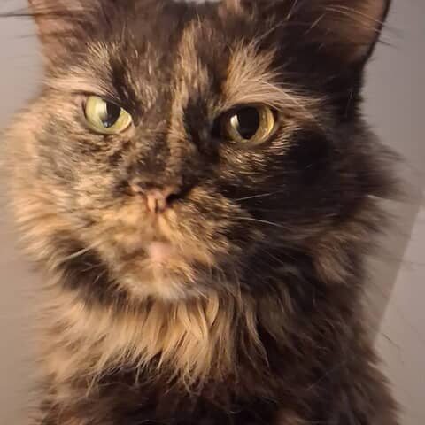 Lucy Lou