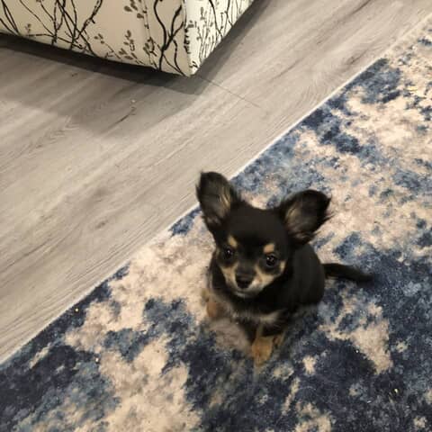 Max