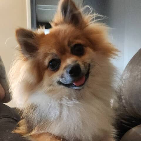 Mia Marie