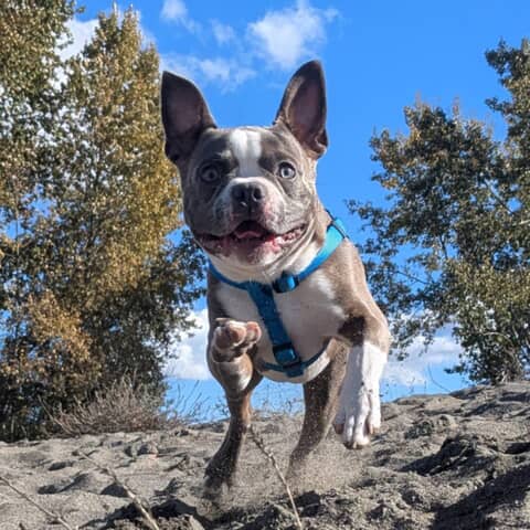 Kilo-gram