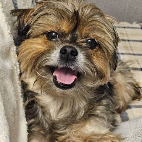 Buster