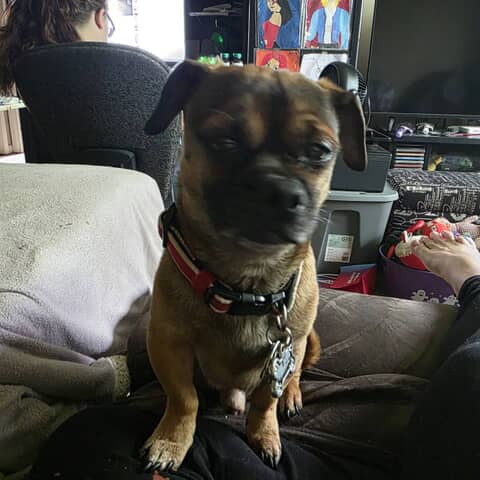Max Bear