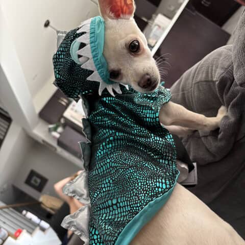 Casper