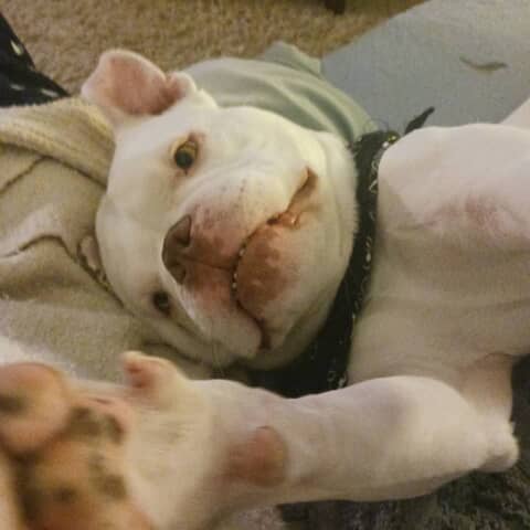 Cooper