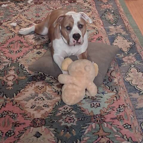Rosie