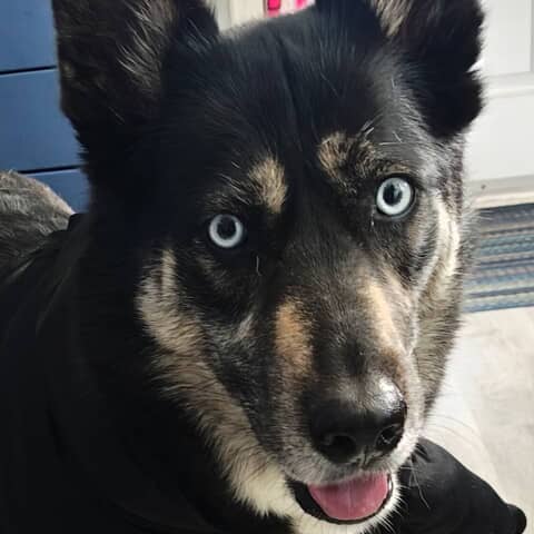 Luna