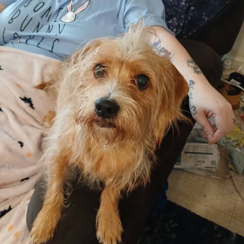 Milo