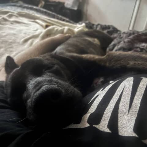 Lola