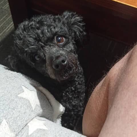 Charlie