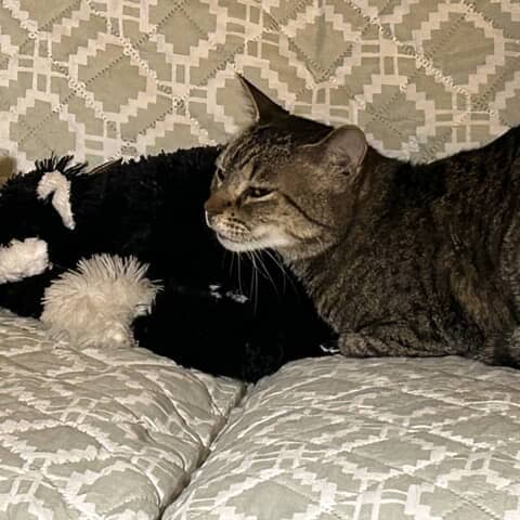 Fiona