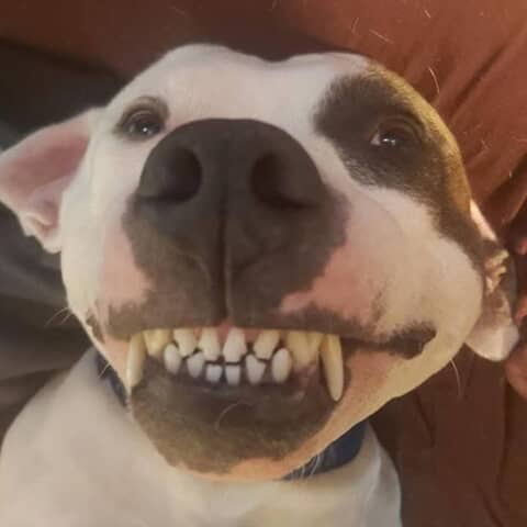 Jax